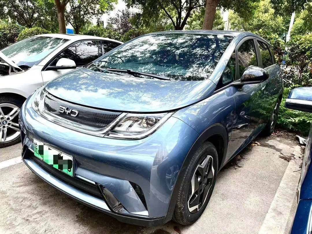BYD Dolphin