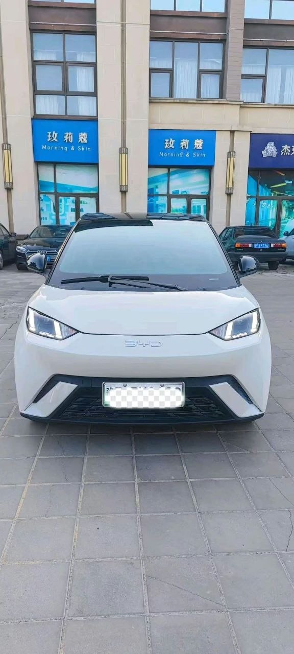 BYD Seagull