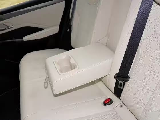 2026 BYD Qin PLUS EV 510 Progressive Edition