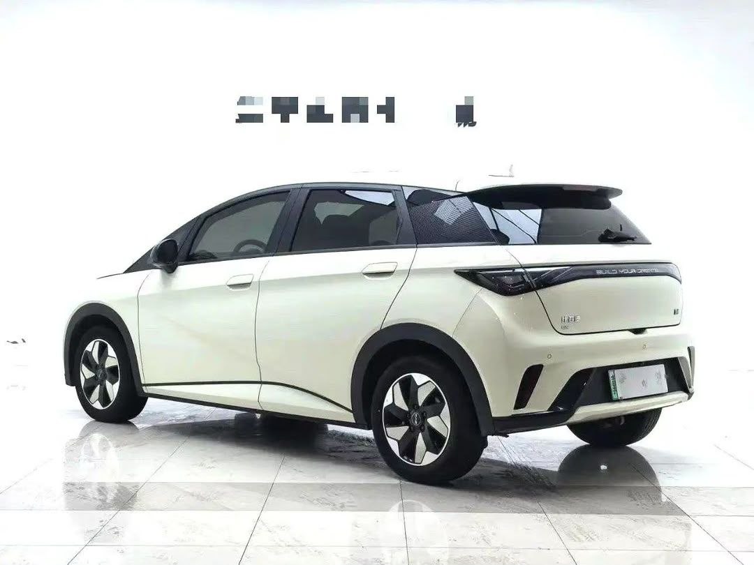 BYD Dolphin
