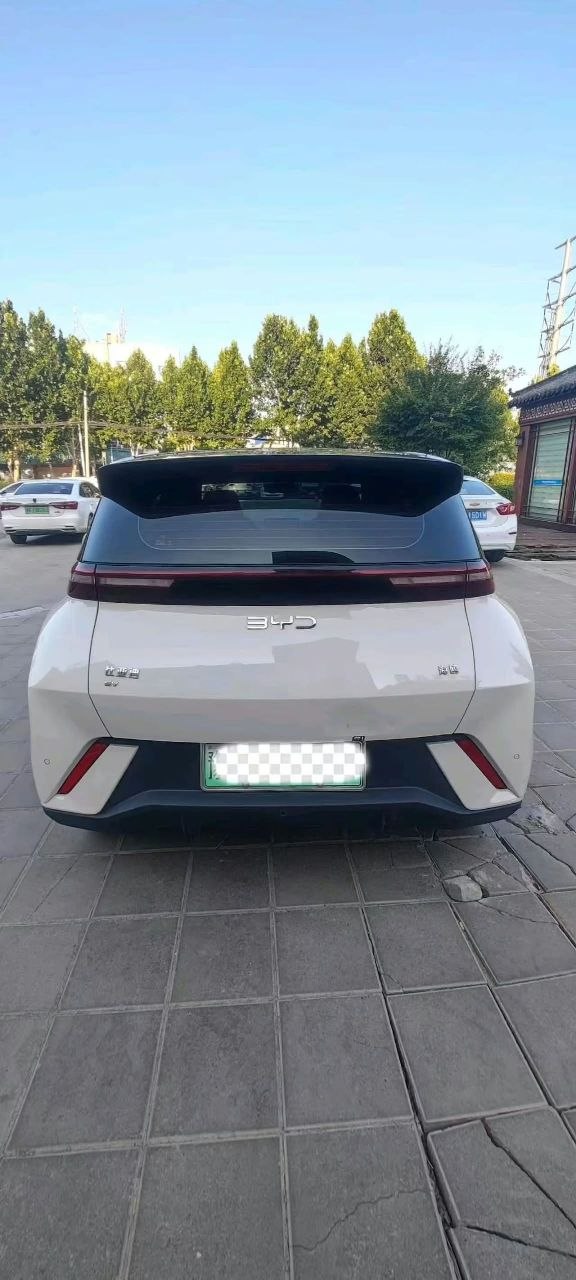 BYD Seagull