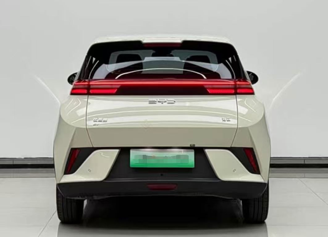 BYD Seagull