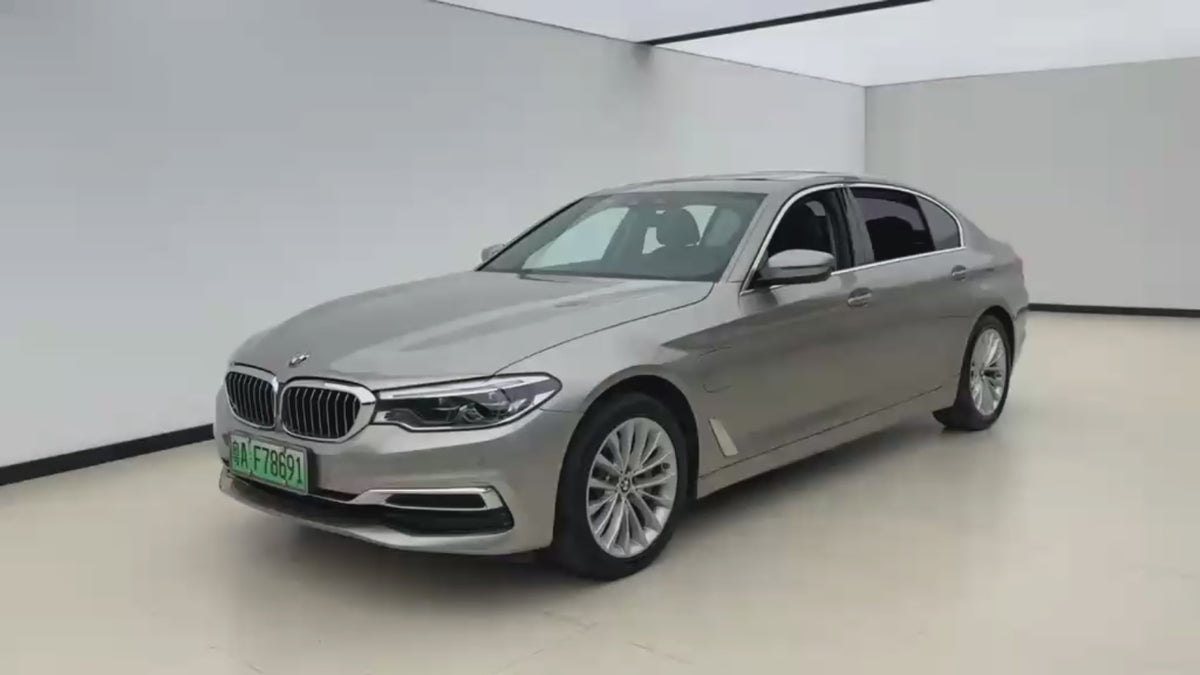 2020 BMW 5 Series 530Le Luxury Package